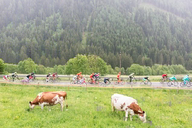 Stage: Lombardia. Edolo, Val Camonica.This is a high mountain stage, with a total difference of altitude of 4500 meters.