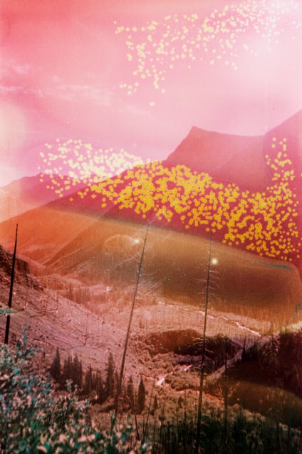 Tokumm-Verendrye Fire up the Floe Valley, 22 Years later