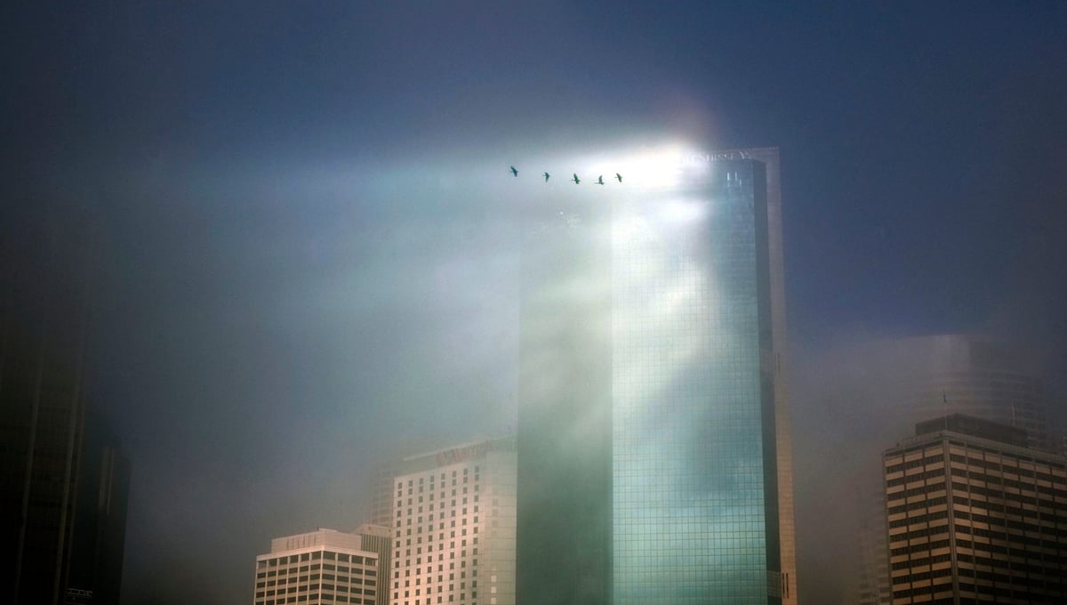 Foggy Morning, Circular Quay