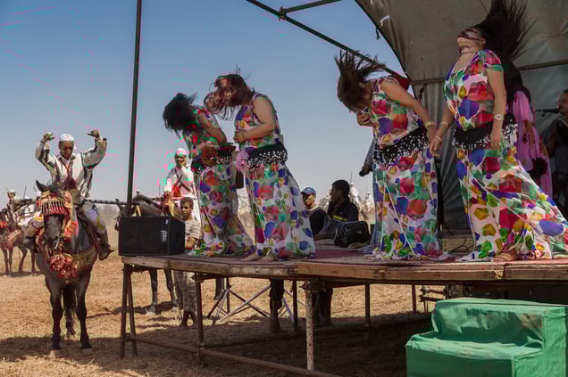 Tales of Moroccan Amazons, 2014