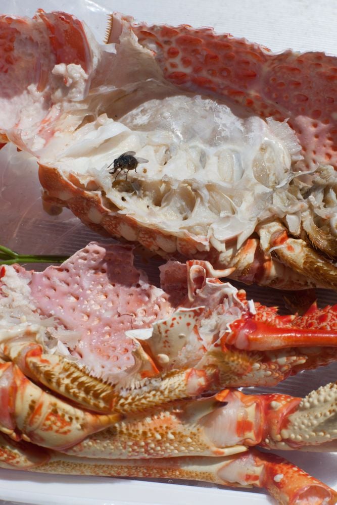 WOLFGANG TILLMANS: 2017