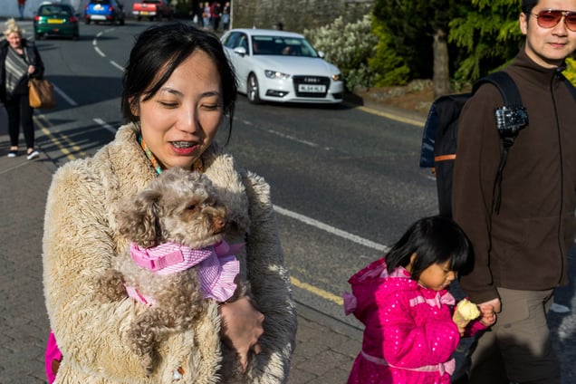 Chinese visitors.