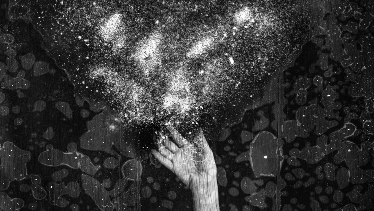 © Michael Donnor