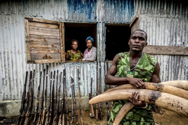 Inside Wildlife Crime © James Morgan