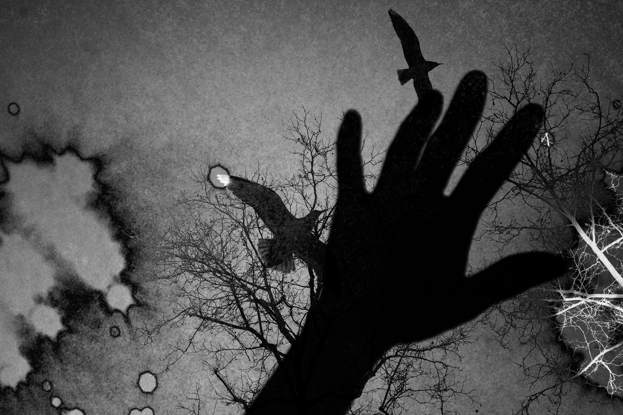 winner of photography awards