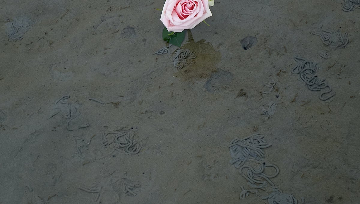 requiem for mom