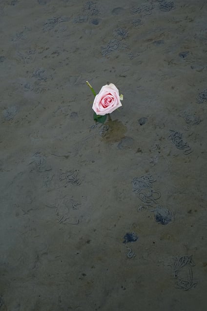 requiem for mom