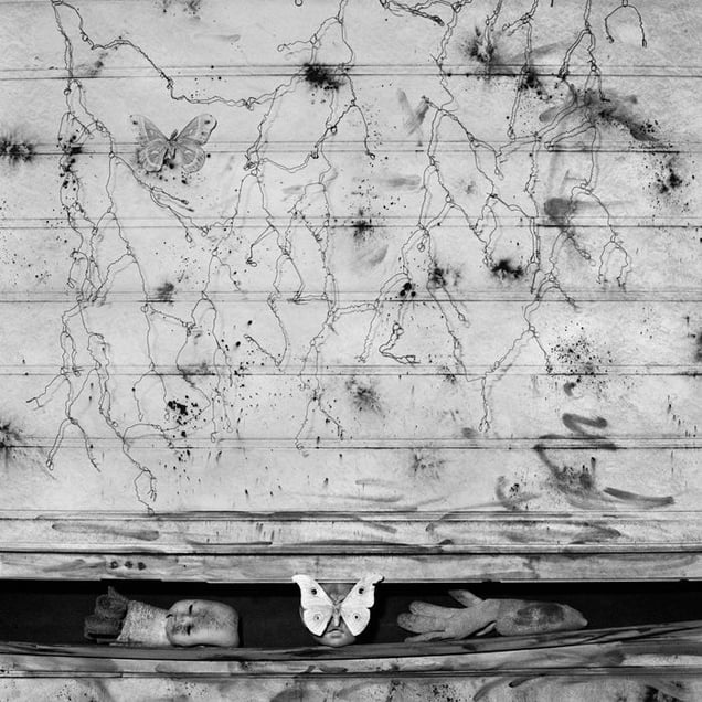 Intertwined, 2007 © Roger Ballen