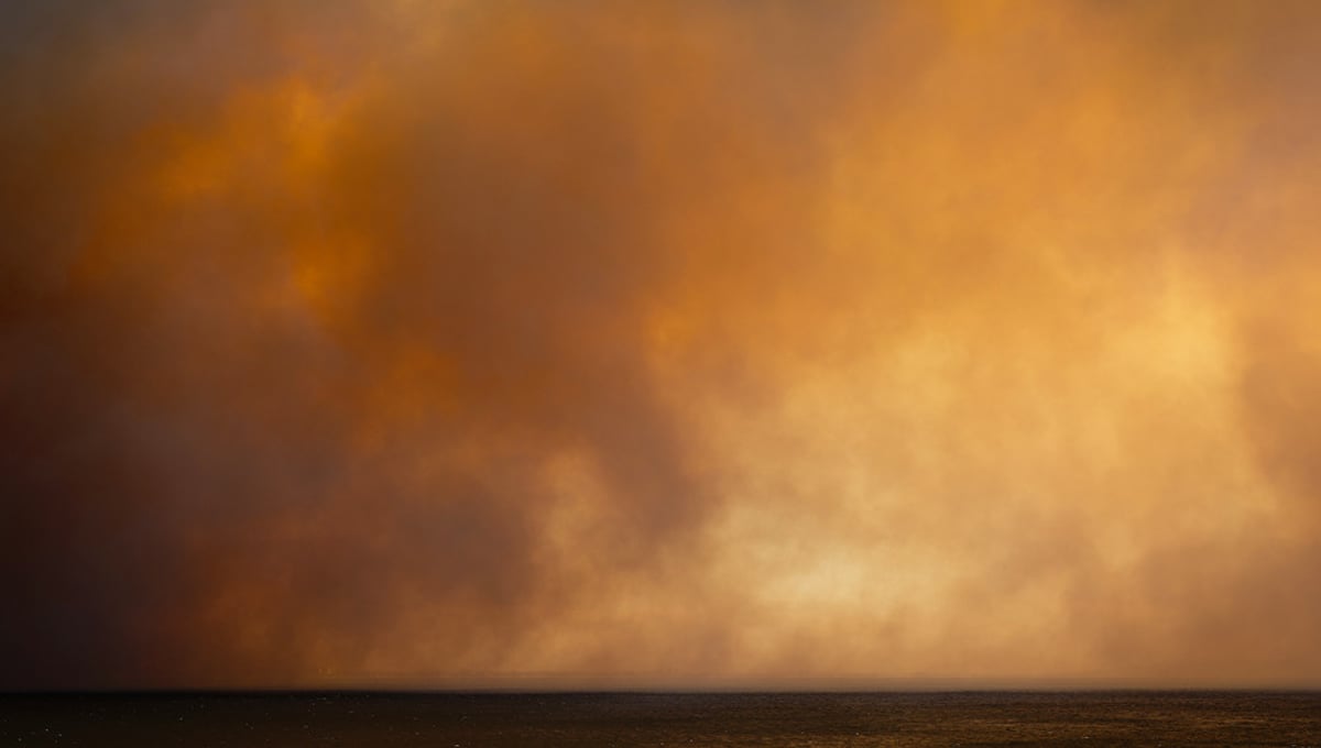 Palisades Fire, 2025