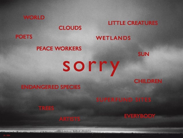 SORRY everybody, 2004,