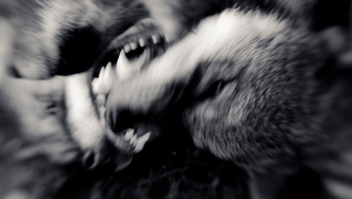 Untitled, from the series "Shadow Within", 2010-2013 © Christian Houge
