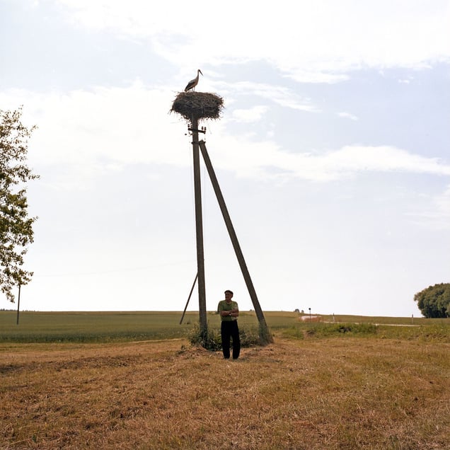 Stanislovas, Gintaučiai, Raseiniai district.