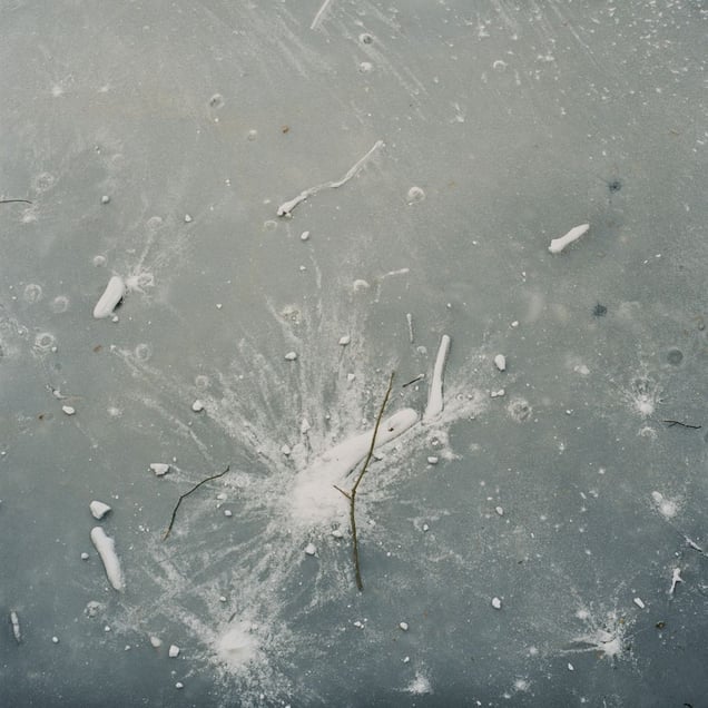 Frozen, from the series Still Here © Lydia Goldblatt