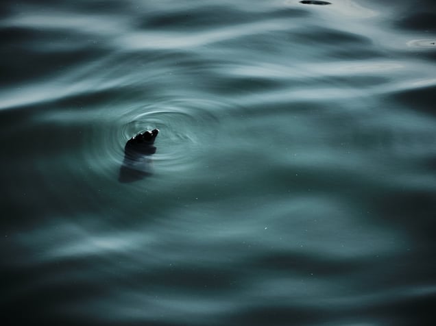 Labor in Yau Tsim Mong, Hong Kong