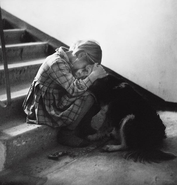 Amis, 1966