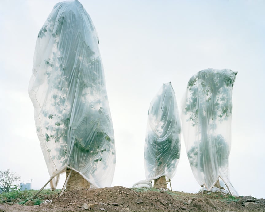 Renaissance Photography Prize 2013