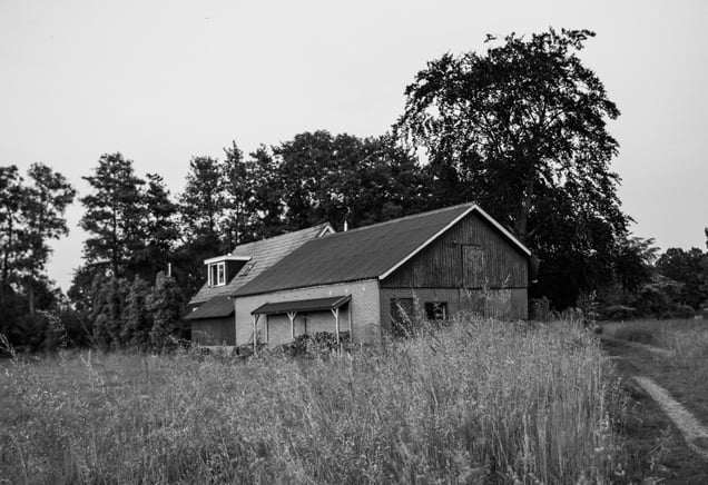 Wooden house