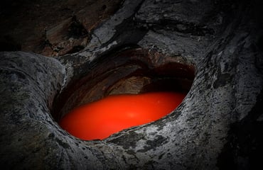 What Nature Knows, Photography Competition & Awards