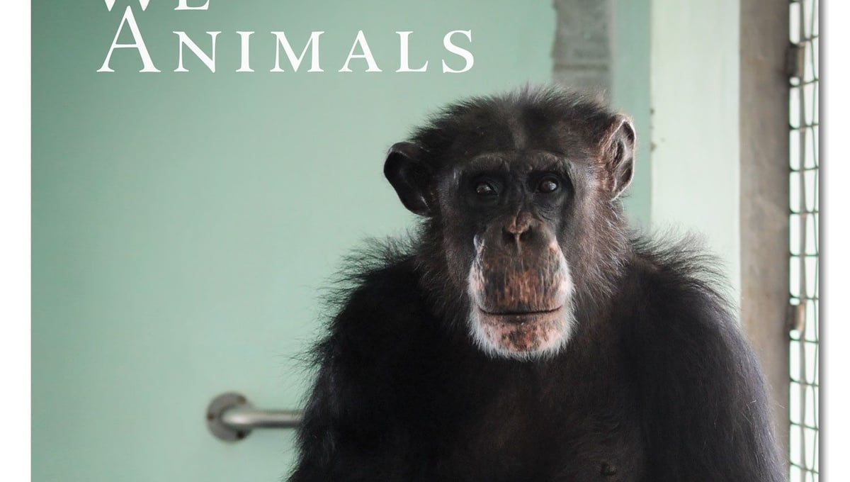 We Animals, Book Cover