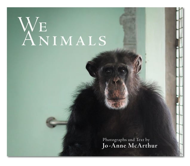 We Animals, Book Cover
