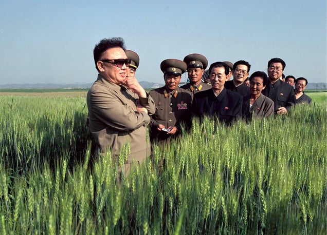 Kim Jong Il Looking at Things
