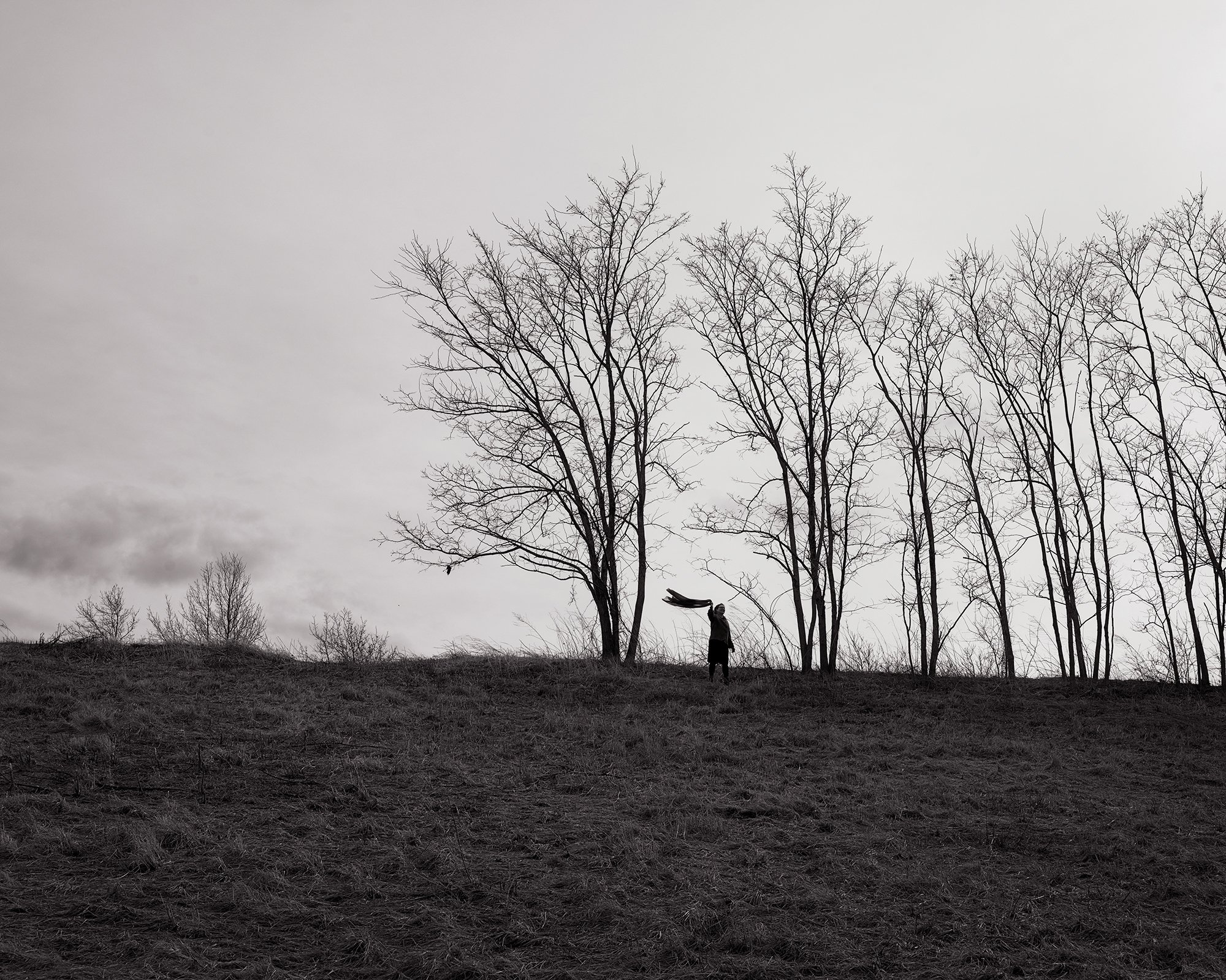 Waving, 2022 © Scott Offen