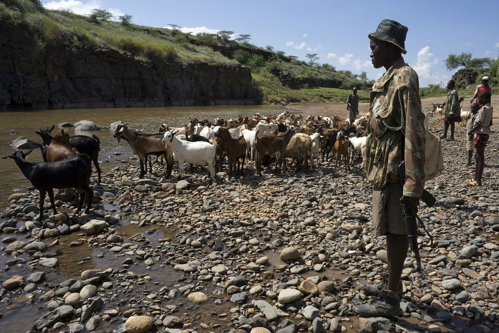 The Impact Project 2014