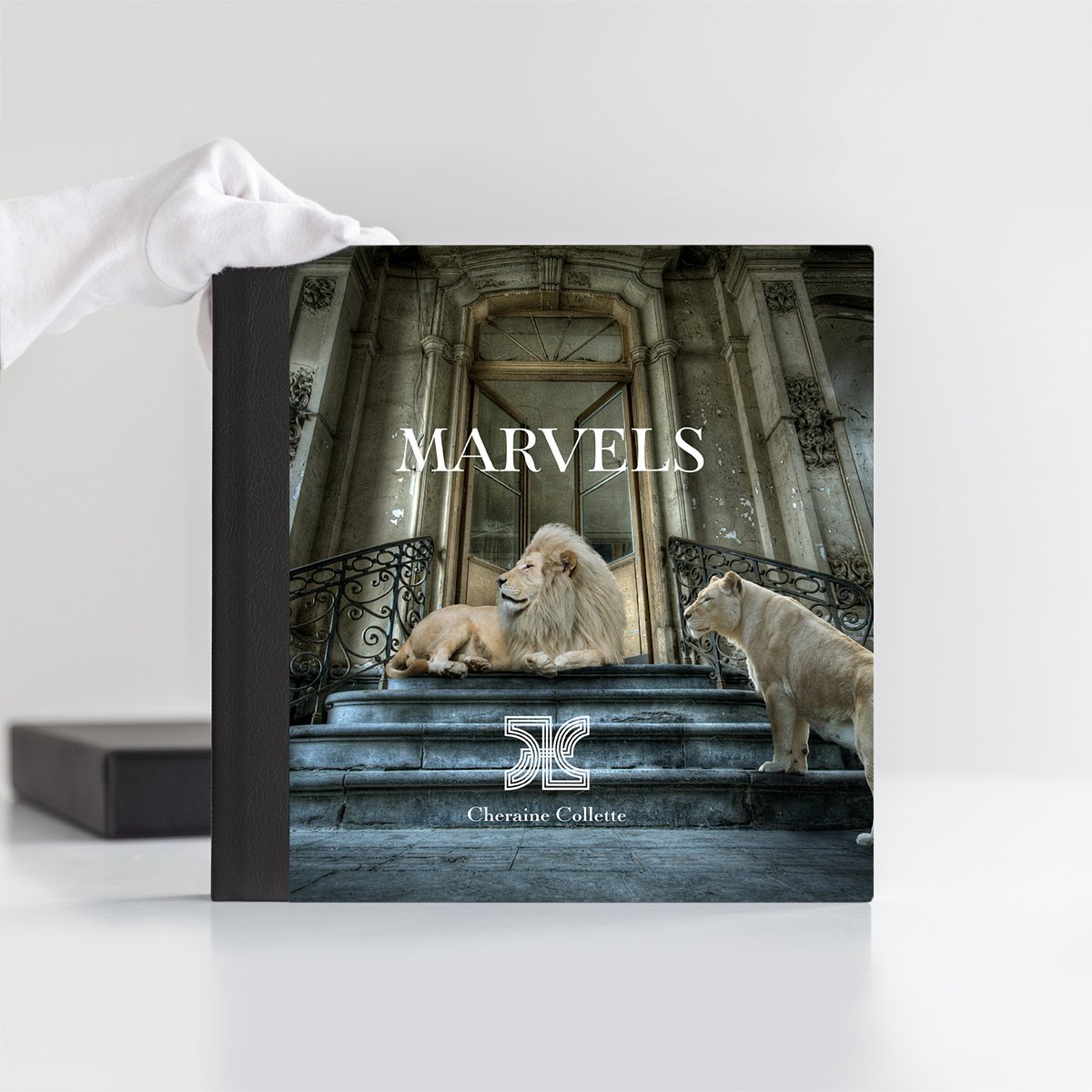 MARVELS - LIMITED EDITION With Clamshell Box