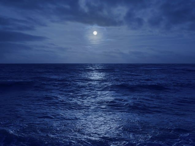Nightfall 5, 2026