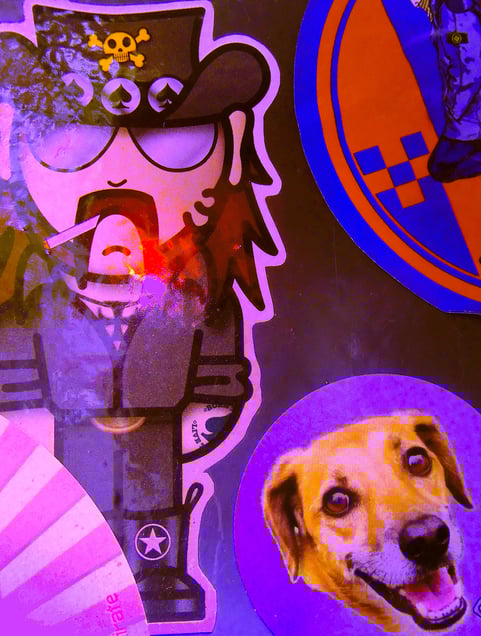 "GOLDEN BA-ROCK DADA DOGS" or "HOT CHILLI DOG SAUCE" "Hot Chilli Sauce Chien" "Scharfe Chilli Hundesoße"