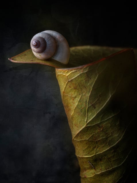 The Threshold