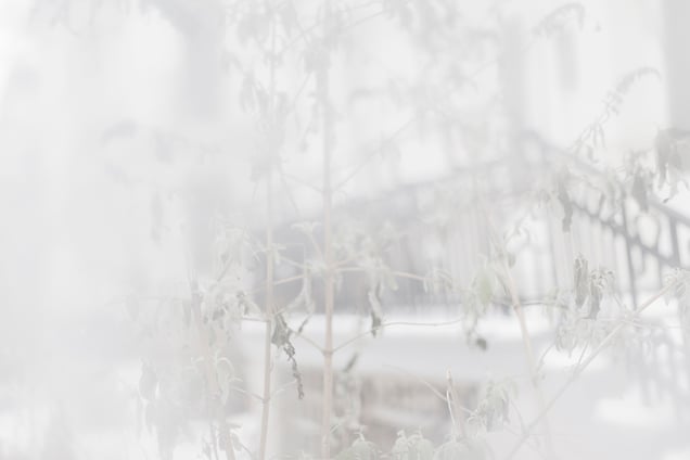 Untitled from "White is not a Colour"