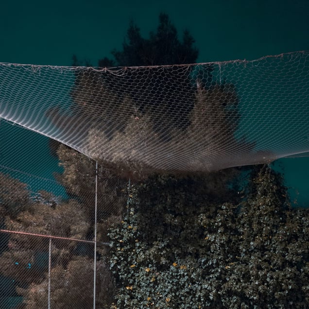 Erebus (primeval void)