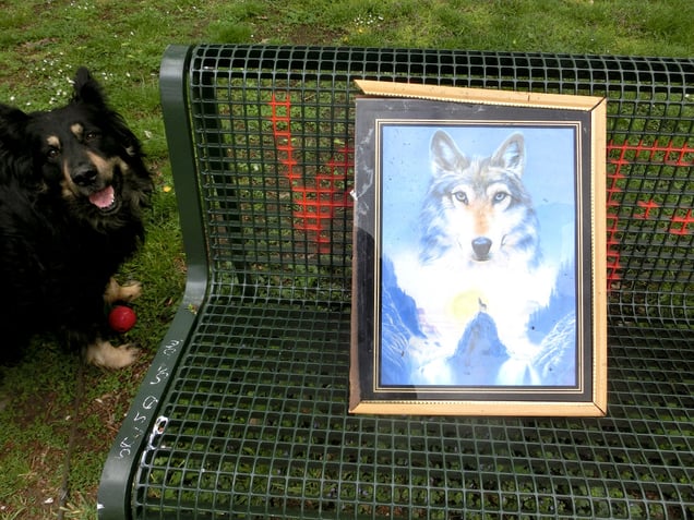 "ANIMAL MUSIC" or "HOWL HAPPY"