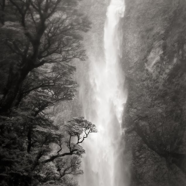 © Jeffrey Conley