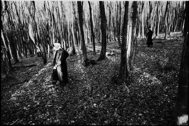 Save Road through the woods, Grozny