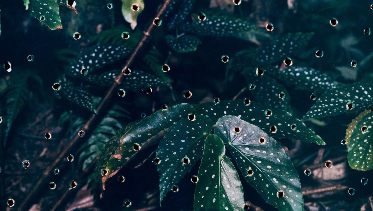 Ambient Pressure 8