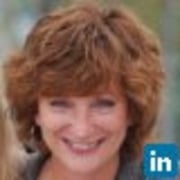 e cindy stein