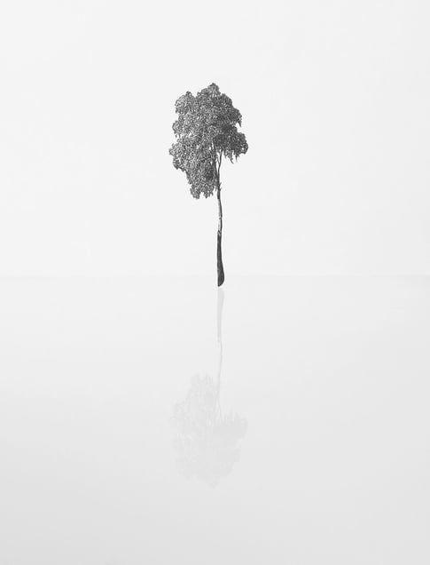 Untitled, 2016 © Ville Andersson, courtesy of Stieglitz19