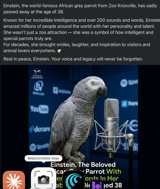 "THE PRRRETENDER PARRRROT PARRRRADOXXX" or  "ETERNAL EINSTEIN" "DAS PRETENDER PAPPPPAGEI PARADOXXX" oder "AUF EWIG EINSTEIN"