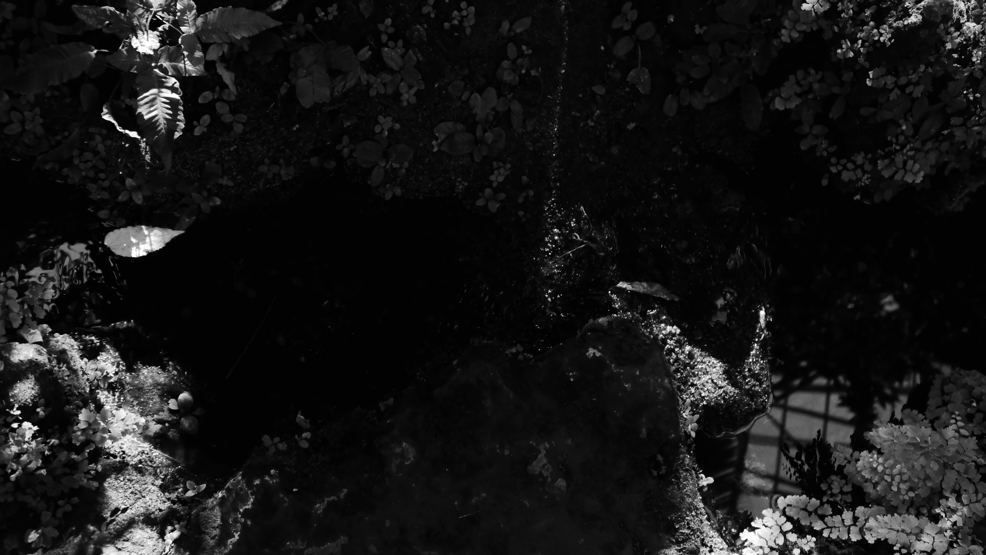 Like a jungle series.-3
