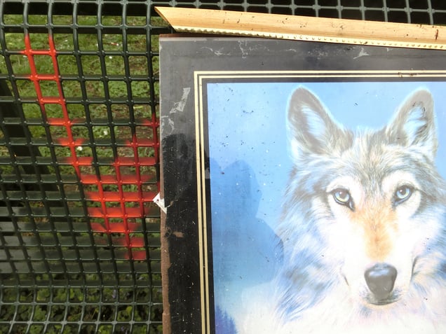 "HOWL HAPPY!"