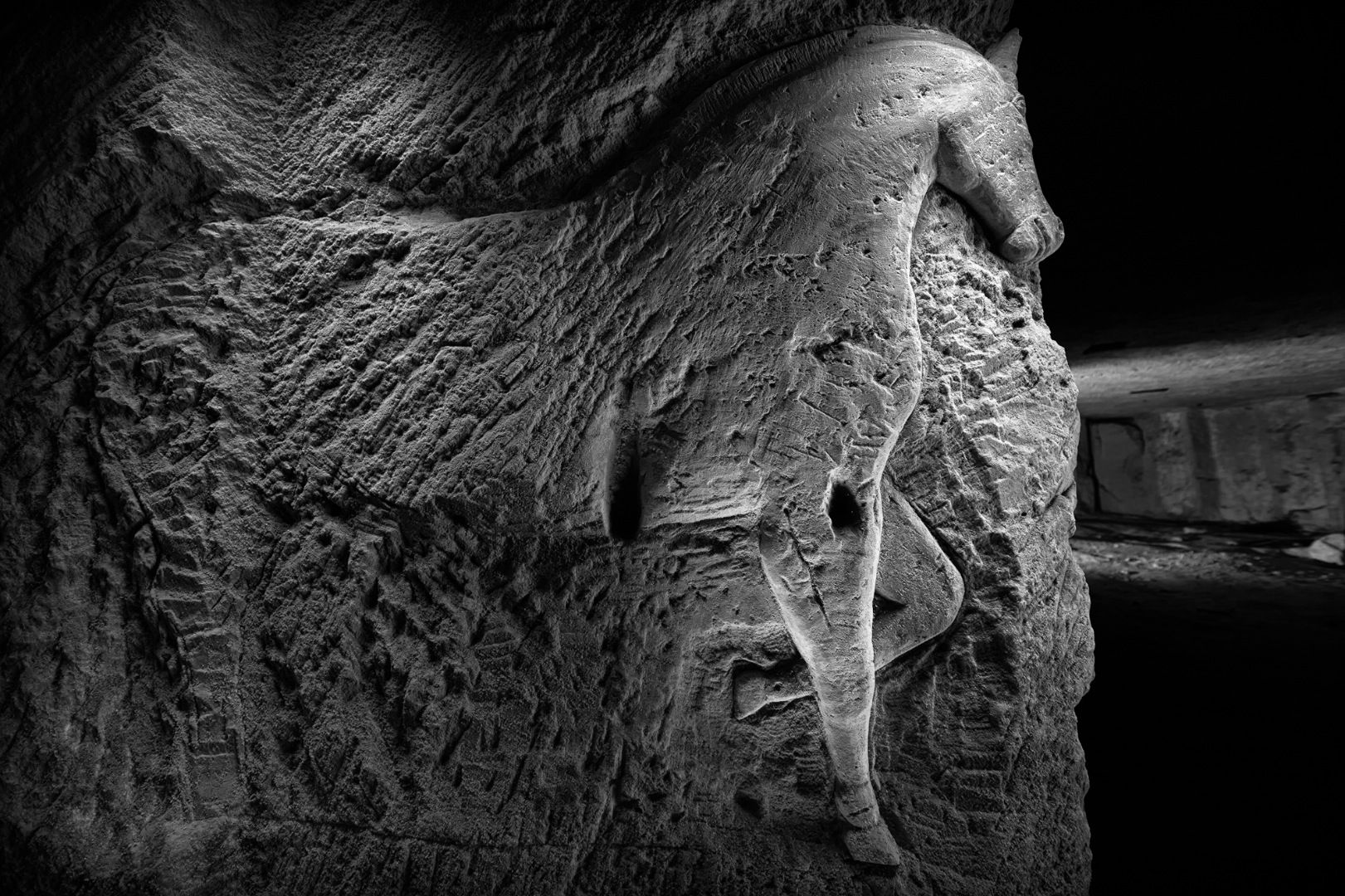 The Hidden World of WWI