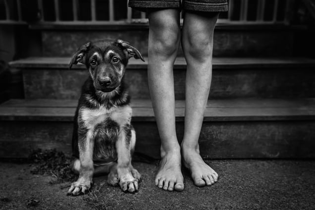 Puppy Feet