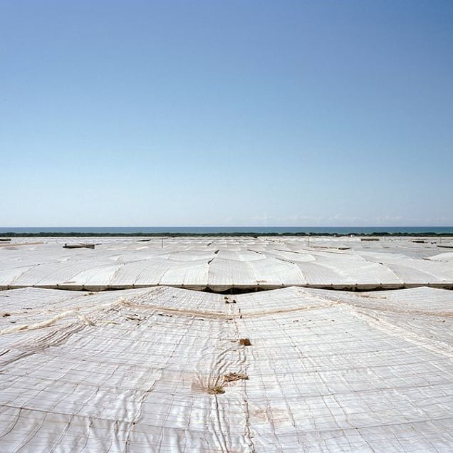 Greenhouse tops. Paraje Chozas de Lupión. El Ejido, Almerí­a. © Reinaldo Loureiro