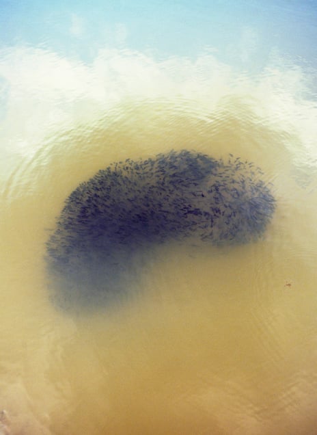 From the series Kontakt