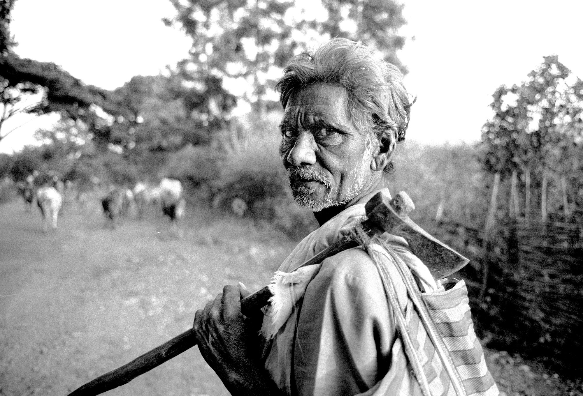 Adivasi