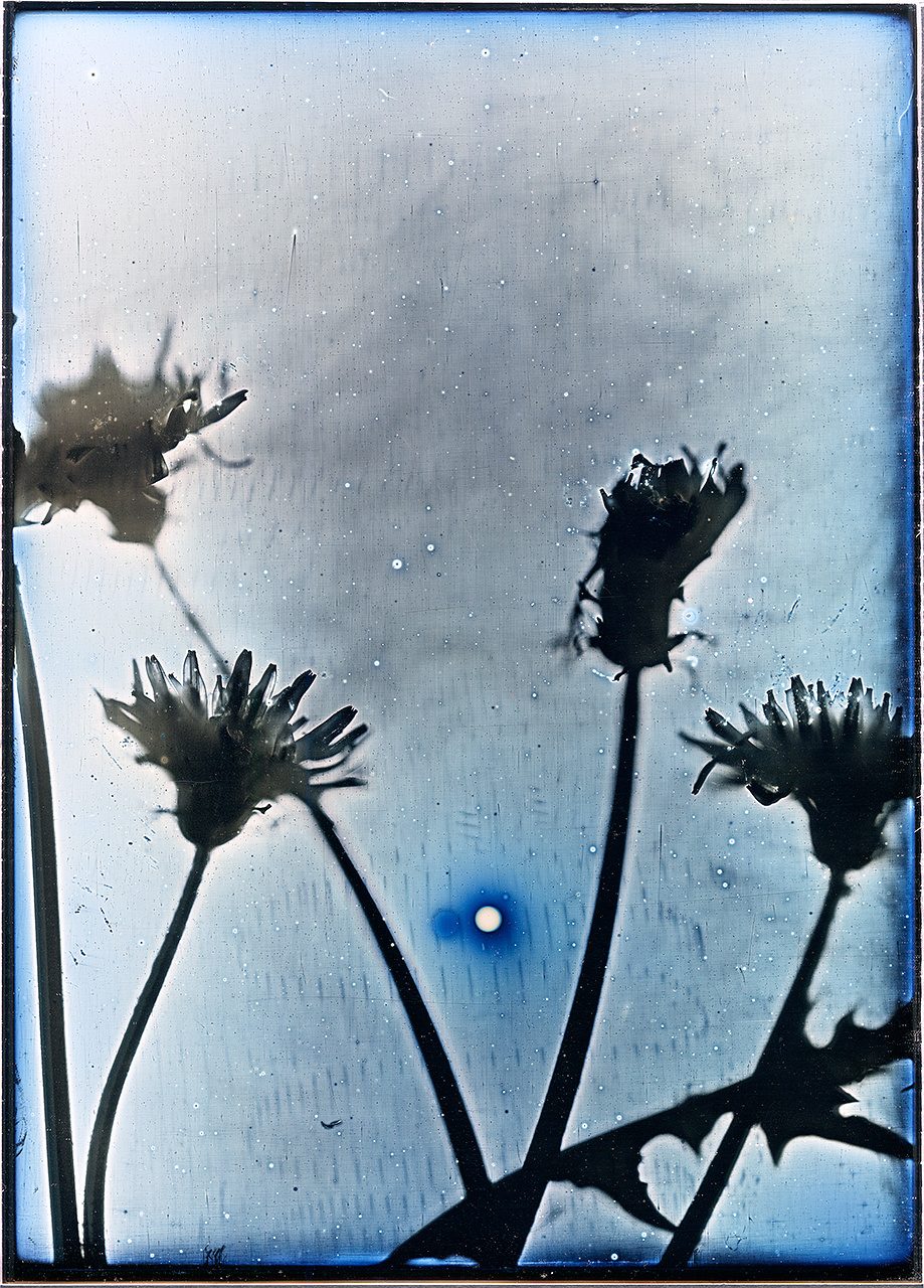 Storing Memories: Contemporary Japanese Daguerreotypes