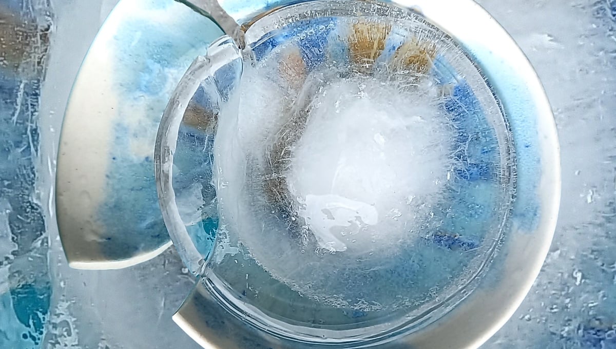 "Breaking the I.C.E." Day 16