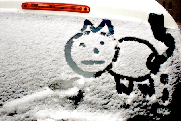 "SNOW WHITE'S CAT" "SCHNEEWITTCHENS KATZE"